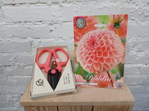 Kukkasakset ja Daalian mukula setti.