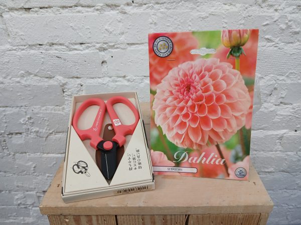 Kukkasakset ja Daalian mukula setti.