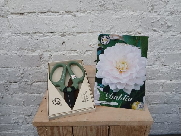 Sakagen kukkasakset ja daalian juurakko Silver Years.